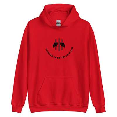 OYP Paranormal Unisex Hoodie | Unisex Hoodie | Indigitreetees